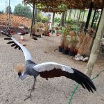 wycieczka do Kłodzka