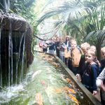 SP Przedmoście_palmiarnia