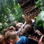 SP Przedmoście_palmiarnia