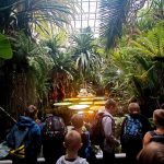 SP Przedmoście_palmiarnia