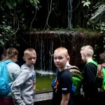 SP Przedmoście_palmiarnia