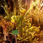 KOLEJNA WYCIECZKA Z "POZNAJ POLSKĘ" ZA NAMI