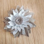 zajęcia w klubach seniora