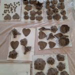 zajęcia w klubach seniora