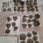 zajęcia w klubach seniora