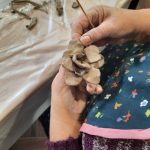 zajęcia w klubach seniora