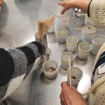 zajęcia w klubach seniora