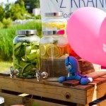 piknik dla Zuzi_strona