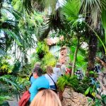 Seniorzy z wizytą w Książu