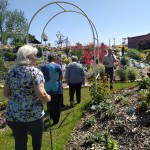 Seniorzy z wizytą w Dalkowie