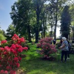 Seniorzy z wizytą w Dalkowie