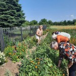 ZAJĘCIA W KLUBIE SENIORA W RUSZOWICACH