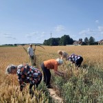 ZAJĘCIA W KLUBIE SENIORA W RUSZOWICACH