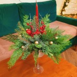 stroiki w klubach seniora