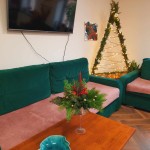 stroiki w klubach seniora