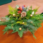 stroiki w klubach seniora