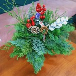 stroiki w klubach seniora